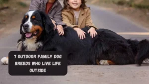 7 Outdoor Family Dog Breeds Who Live Life Outside